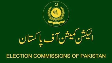 by-polls ECP political parties