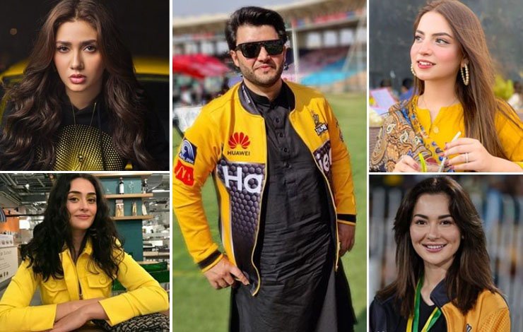 Javed Afridi Peshawar Zalmi Backlashed