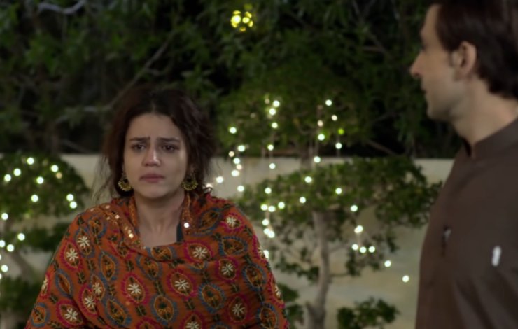 Phaans Curiosity Performances