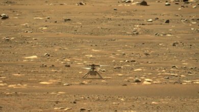 Mars Helicopter Flight