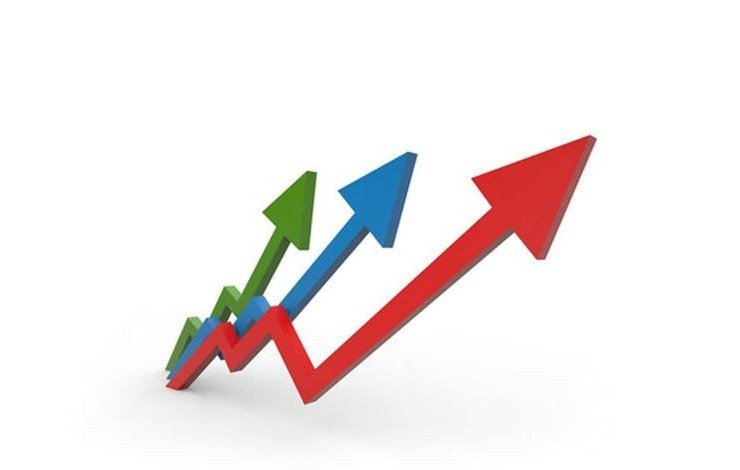 petroleum sales exports increased