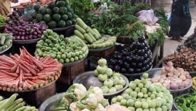 lahore vegetable vendor