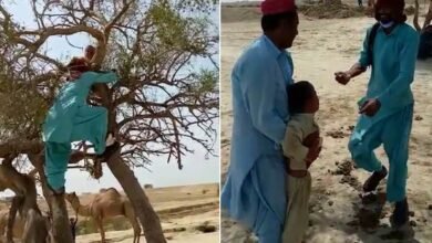 Pakistan polio workers