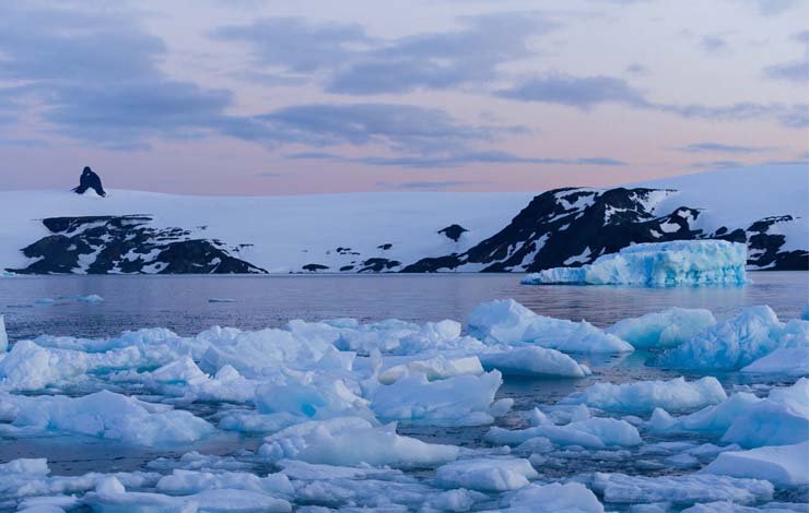 Record High Temperature in Antarctic Shows Climate Change - News 360