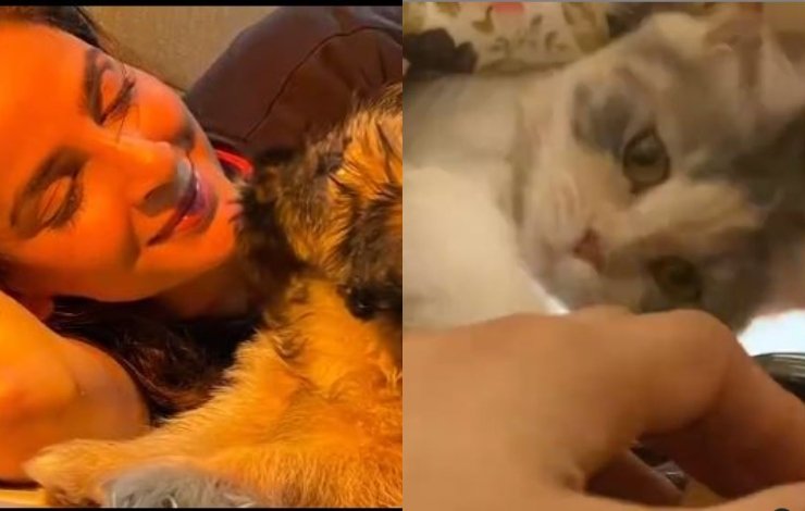 Hira Mani Saba Qamar Pets