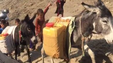 KP donkeys water supply