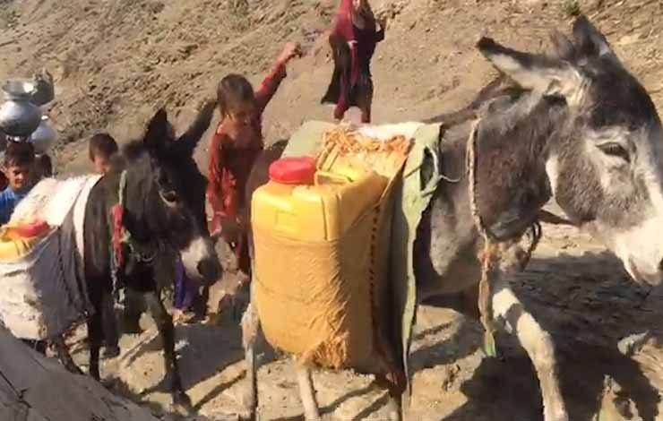 KP donkeys water supply