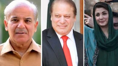 PML-N three spokespersons