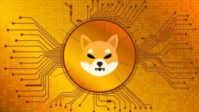 Shiba_Inu_coin