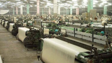 Investment Textile Sector