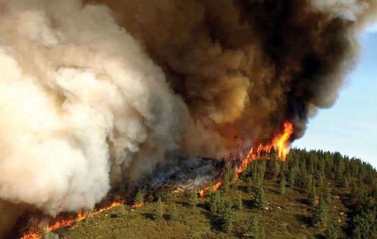 Fire Incidents Billion Tree Project