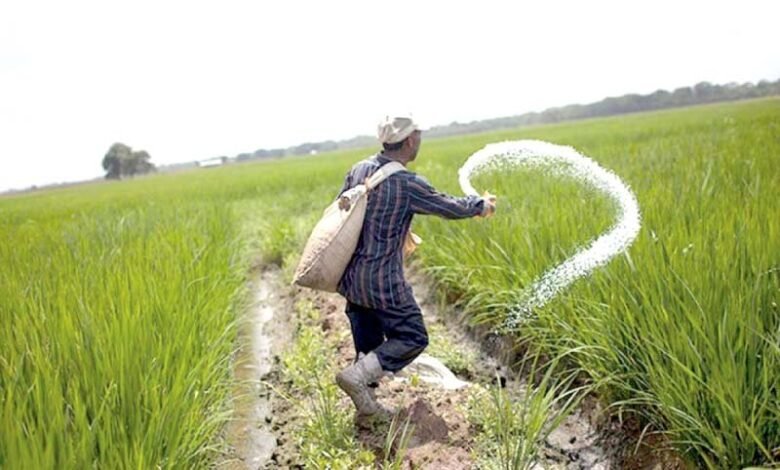 Urea prices in Pakistan very cheap