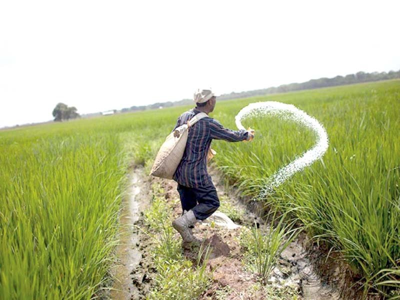 Urea prices in Pakistan very cheap