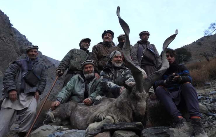 Ibex's second trophy hunting this year in Chitral markhor