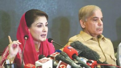 pml-n prime minister frontrunner maryam nawaz shahbaz sharif nawaz