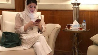 maryam nawaz tweet nawaz sharif coach netizens