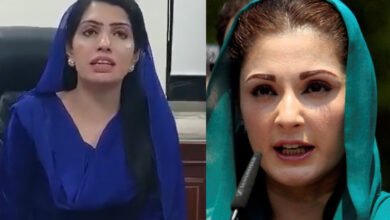 Aliya Hamza Malik Maryam Nawaz indecent trends petitions