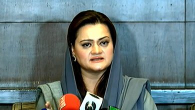 Syed Talat Hussain Marriyum Aurangzeb statement PML-N