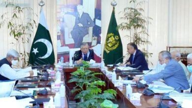 Economic Coordination Committee ECC