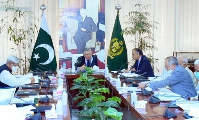 Economic Coordination Committee ECC