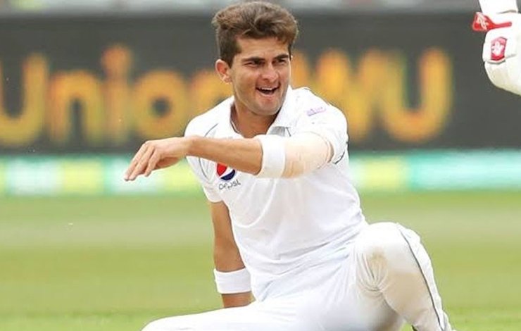 Shaheen Shah Afridi, harassment, female spectator