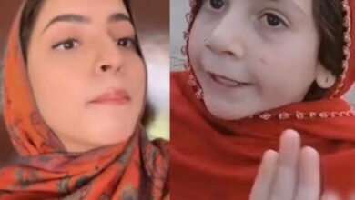 Dananeer Mobeen, pawri girl, Wafa Shinwari, baap ki party, viral video