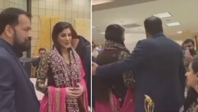 Mehwish Hayat, fan, viral video