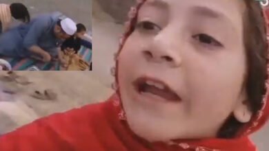 pawri girl viral video wafa shinwari dananeer mobeen