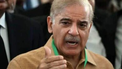 Shehbaz Sharif, SC violation, fiscal moves, federal cabinet