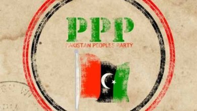 PPP, key slots, federal government, Fazlur Rehman, Bilawal Bhutto Zardari