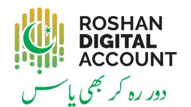 Miftah Ismail, Roshan Digital Account, PTI government