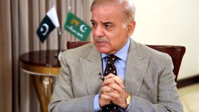 Shehbaz Sharif, workweek, govt employees