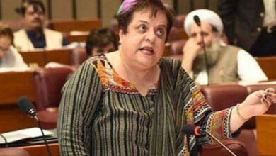 Shireen Mazari, SC verdict, judicial coup