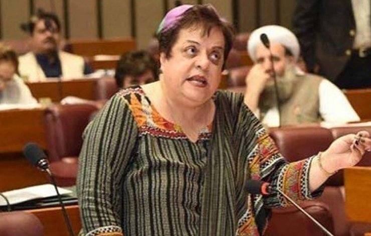 Shireen Mazari, SC verdict, judicial coup