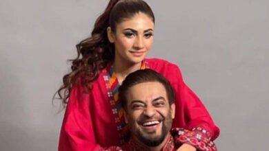 Aamir Liaquat Hussain, Dania Shah, divorce