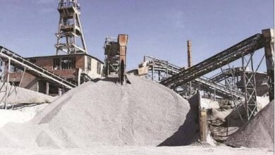 Cement Industry Bigwigs