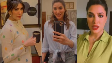 Mehwish Hayat, Hollywood debut, Instagram videos