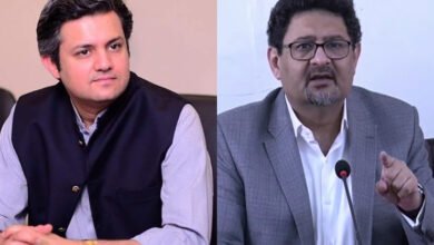 Miftah Ismail, fuel subsidy, Hammad Azhar