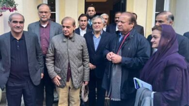 PML-N delegation, London meeting, economic challenges, Nawaz Sharif