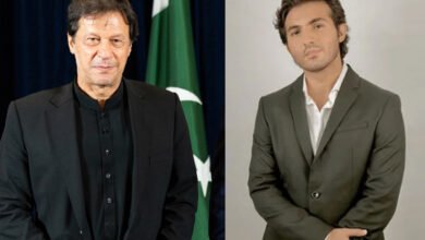 Shahroz Sabzwari, troll, Imran Khan, Behroz Sabzwari, Hamza Shahbaz