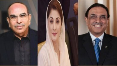 Audio leak, Maryam Nawaz, asif ali zardari, malik riaz