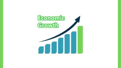 Economic indicators, PTI, economic survey