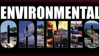 FATF Estimates Environmental Crimes Generate Ranging from $110b to $281b