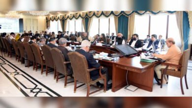 PM Shehbaz Sharif, federal cabinet, special assistants