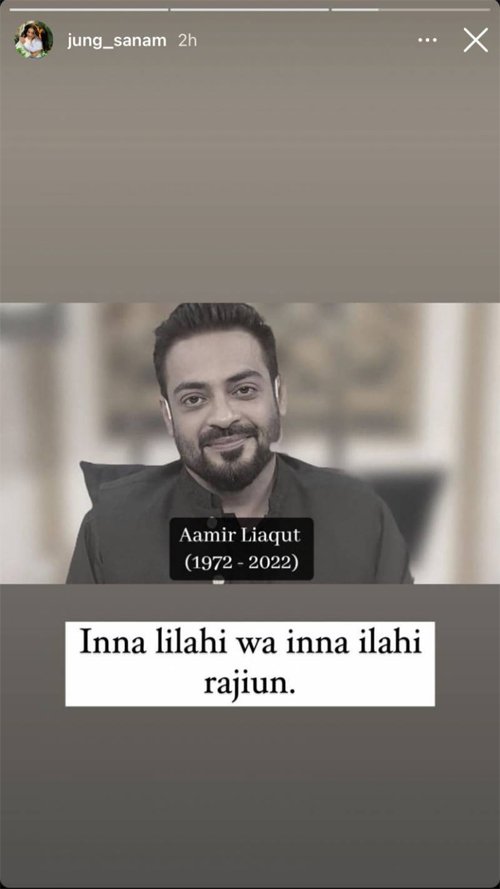 Aamir Liaquat Hussain, celebrities