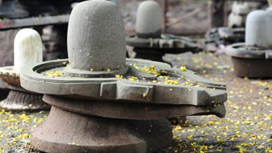 RSS chief, Mohan Bhagwat, shivling, mosque