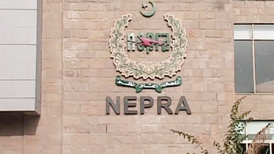 Chairman NEPRA Assures APTMA of Reviewing Wheeling Charges under CTBCM Scheme