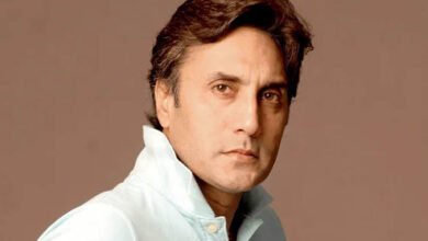 Adnan Siddiqui, Punjab CM election