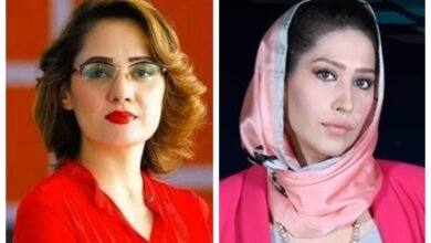 Gharidah Farooqi, Meher Bokhari, audio leak, Bushra Bibi, Mansoor Ali Khan