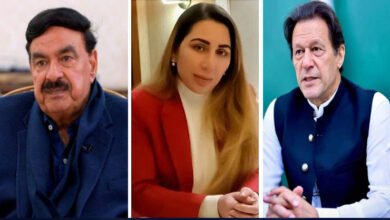 Imran Khan, Farah Khan alias Gogi, Sheikh Rasheed, NAB, ACE